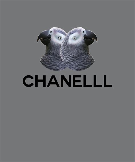 chanel parrot gif